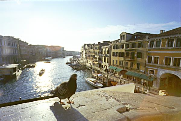 Ponte Rialto